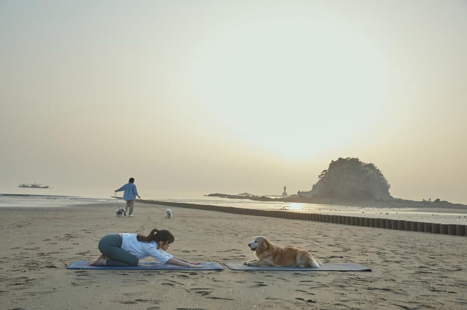반려동물 친화도시 태안군