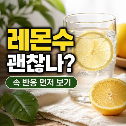 레몬수 관련 이미지