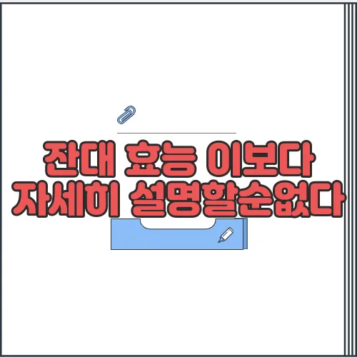 잔대 효능 이보다 자세히 설명할순없다
