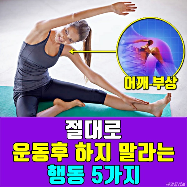 운동후 스트레칭,운동후 샤워,다이어트,건강
