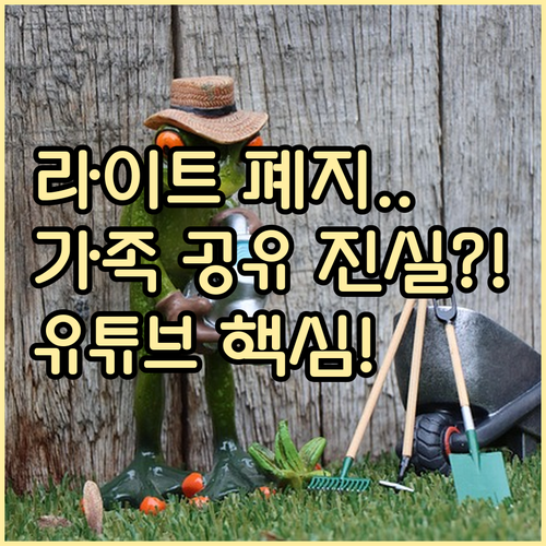 유튜브 라이트 요금제는 왜 폐지되었나..