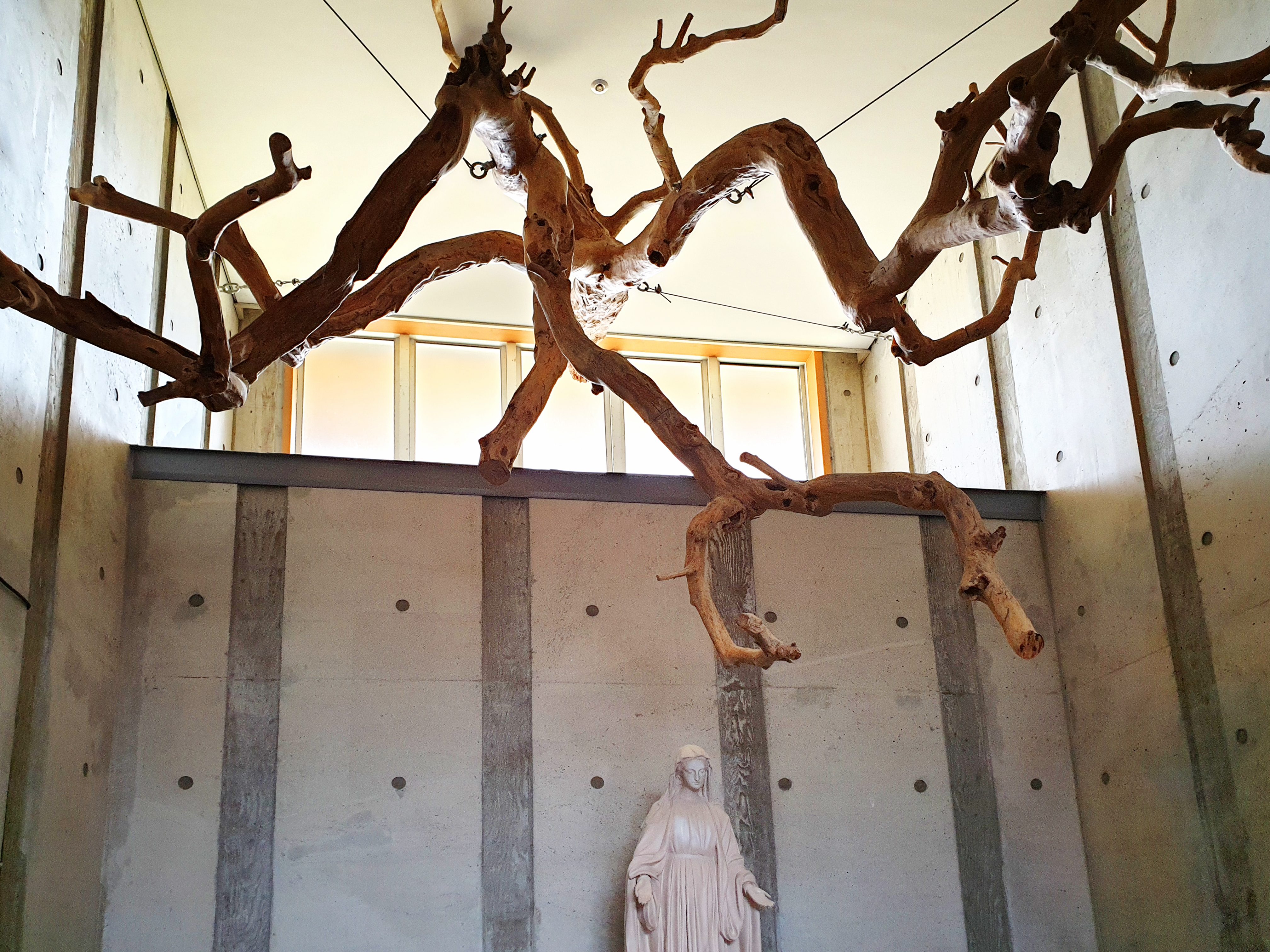 제주 면형의 집 성당 현관 고사목