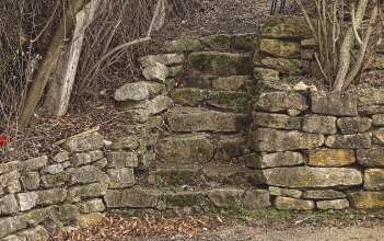 계단오르기 운동효과 정리 13