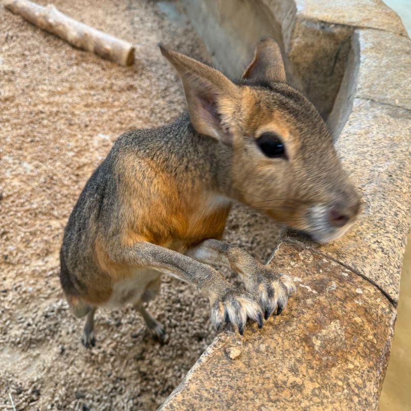 오산버드파크