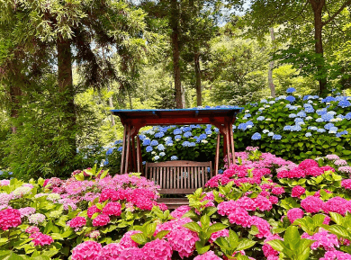 형형색색 남도수국축제 총정리