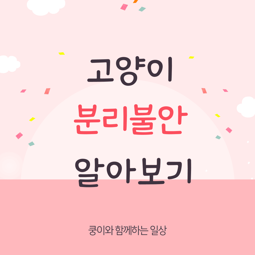 고양이 분리불안 알아보기