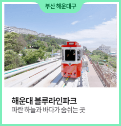 놀이공원할인대전