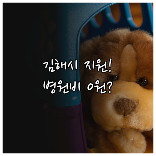 반려동물 진료비 지원 김해시 거주 취..