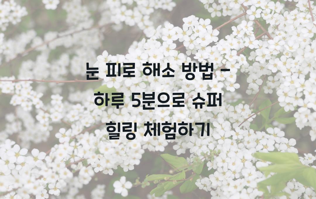 눈 피로 해소 방법 - 하루 5분! 피로를 줄이는 최고의 방법!