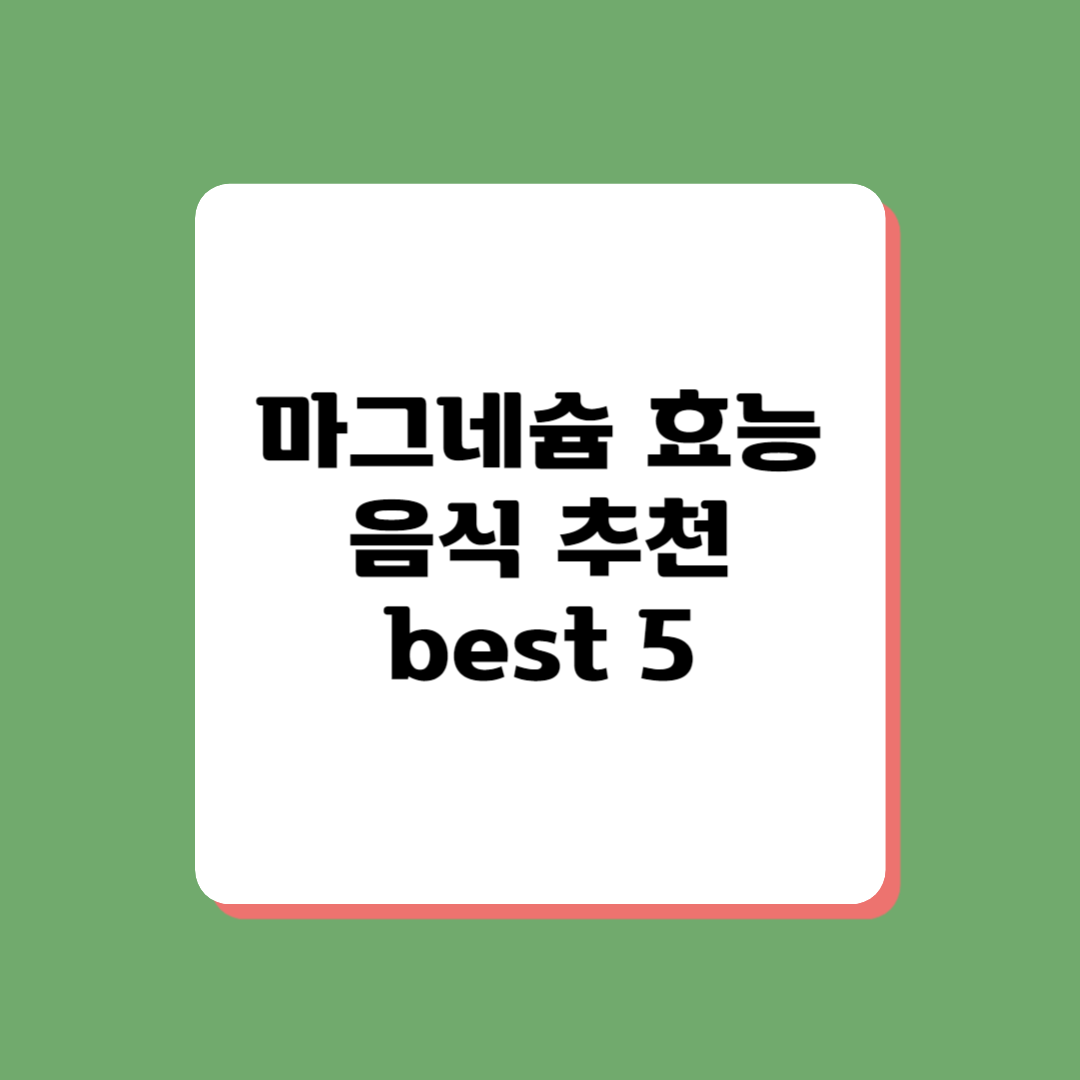 마그네슘 효능