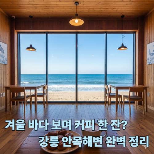 겨울 바다 낭만 강릉! 커피거리 주차 및 실전 여행 정보