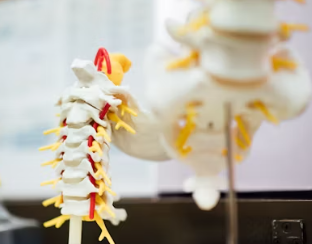 만성요통 원인 초기 증상 예방 운동법