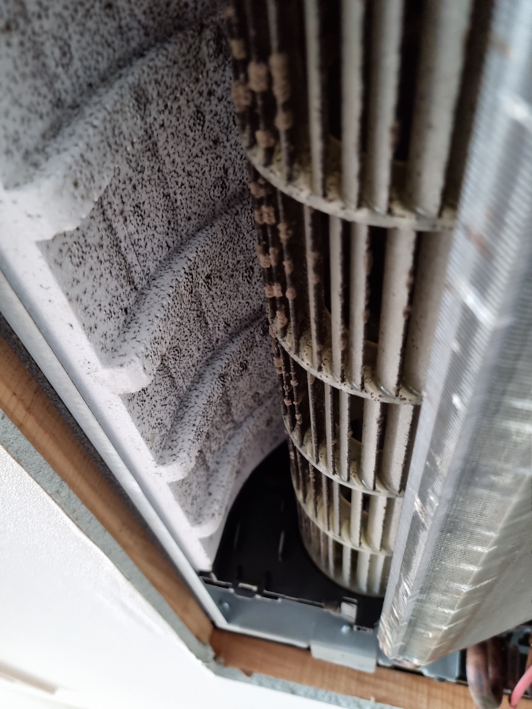 8년만에 시스템 에어컨 묵은 때 벗기기. 시스템 에어컨 업체 청소 후기.