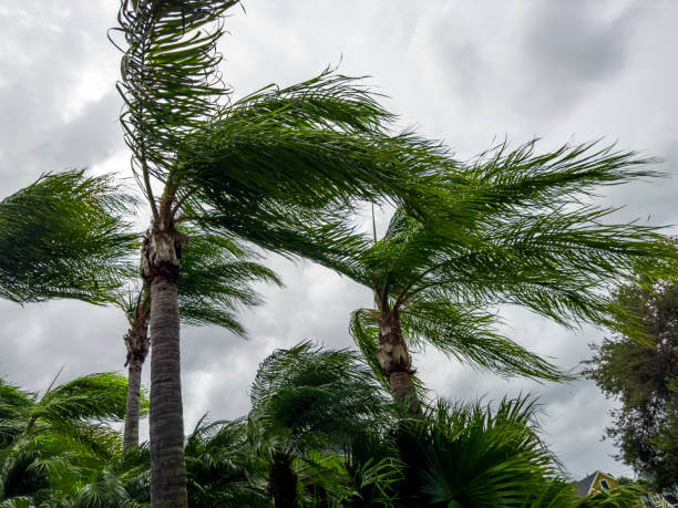 2025년 경기도청 풍수해·지진재해보험 완벽 가이드: 신청 방법부터 지원 혜택까지!!