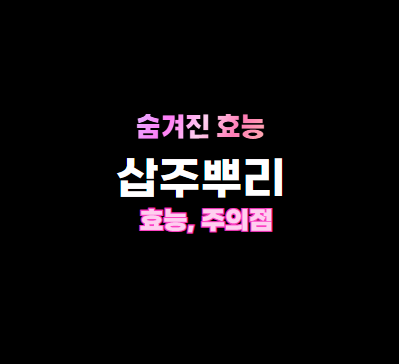 삽주 뿌리 효능