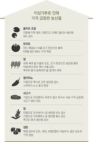 이상기후로 인해 가격 급등한 농산물