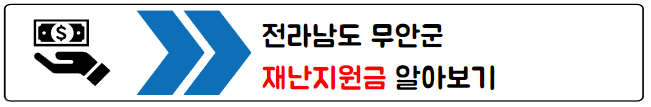 재난지원금
