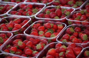 부산 온누리 상품권