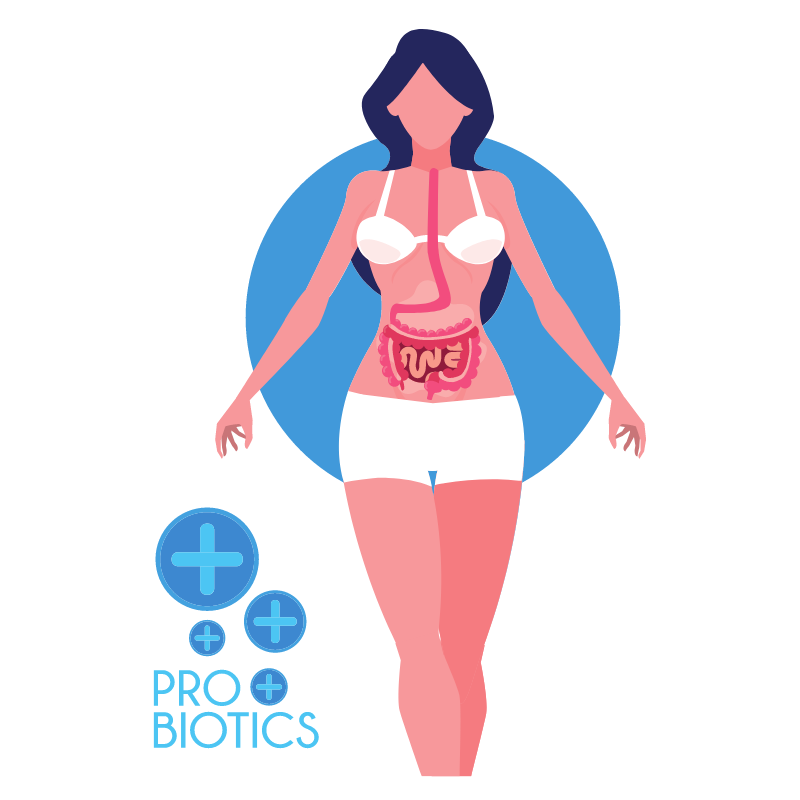 LGG 유산균 효능