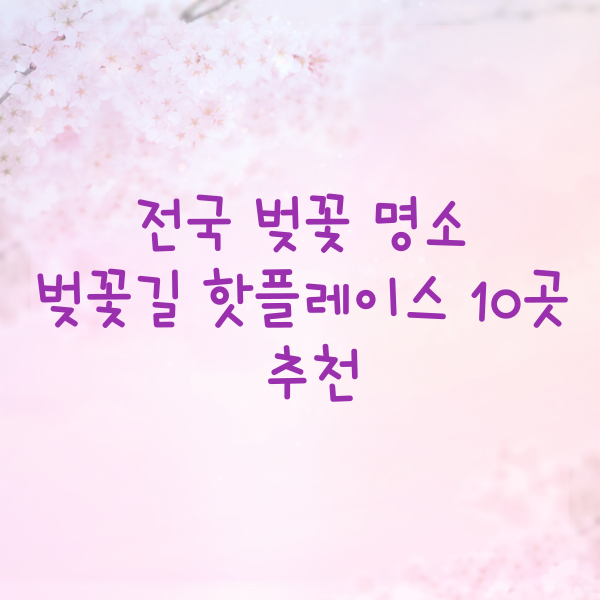 전국 벚꽃 명소 벚꽃길 핫플레이스 10곳 추천