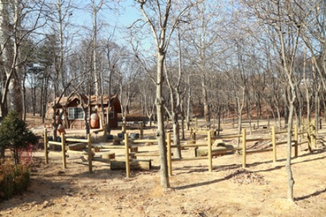 서울 단풍 명소 베스트 6