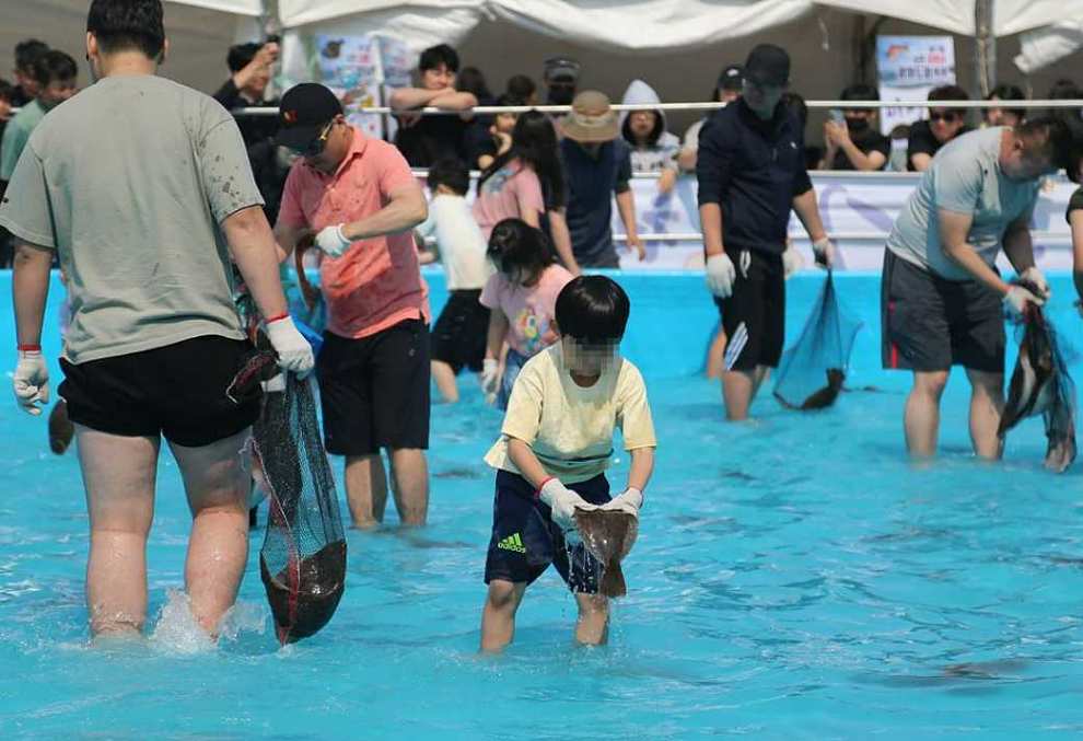 서천 자연산 광어 도미 축제 기본정보