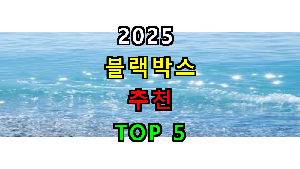 2025 블랙박스 추천 베스트 5