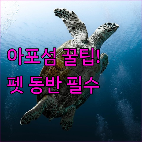 아포 섬 다이빙 여행자를 위한 다우인..