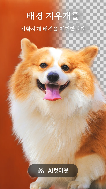 사진 편집의 모든 것, Photo Editor Pro로 완벽한 사진 만들기, ai포토에디터, 사진 보정 어플, 100 + 이상의 레이아웃과 배경