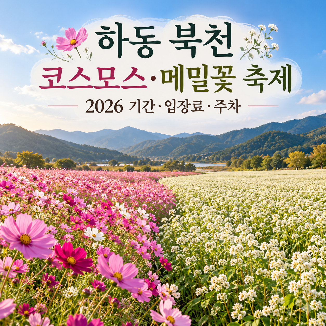 하동 북천 코스모스&middot;메밀꽃 축제 2026｜기간&middot;입장료&middot;주차 알아보기