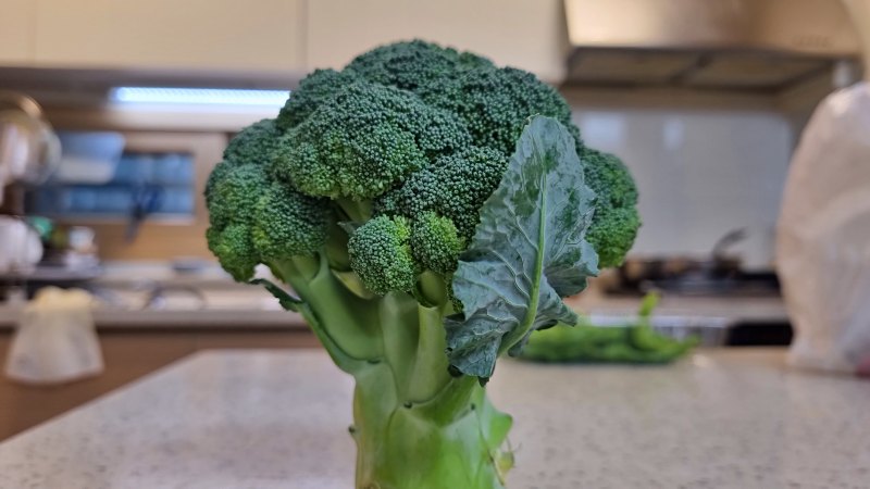 싱싱한 브로콜리