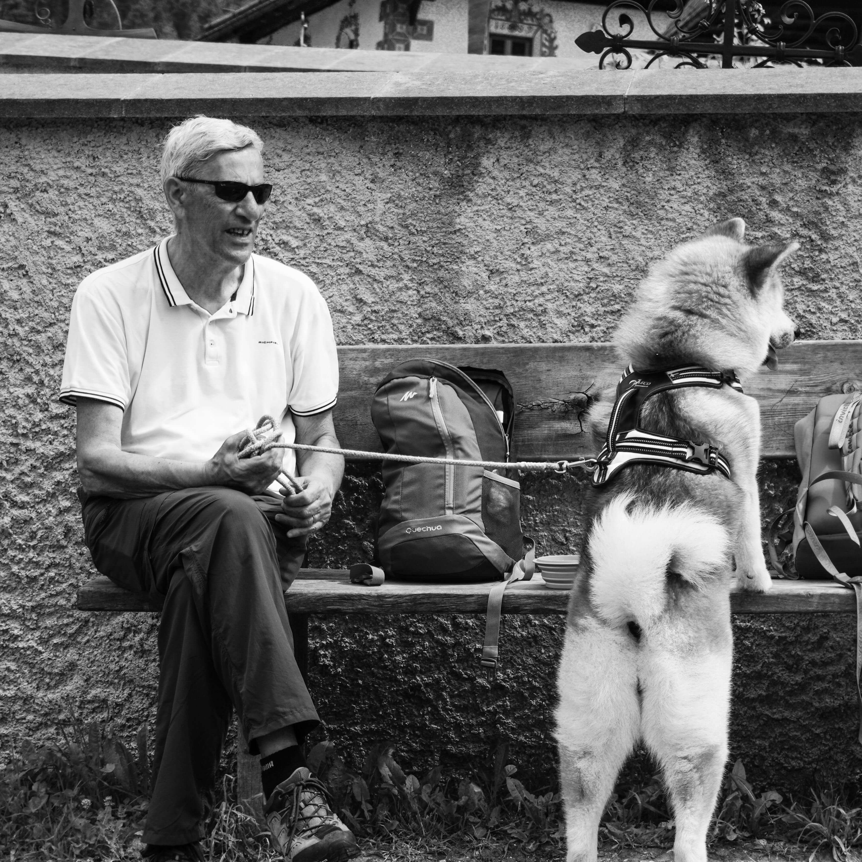 펫보험 커버율&middot;자기부담금 계산법 완전정리 │ 환급 시뮬레이션 + 가입 전 체크리스트 10개 