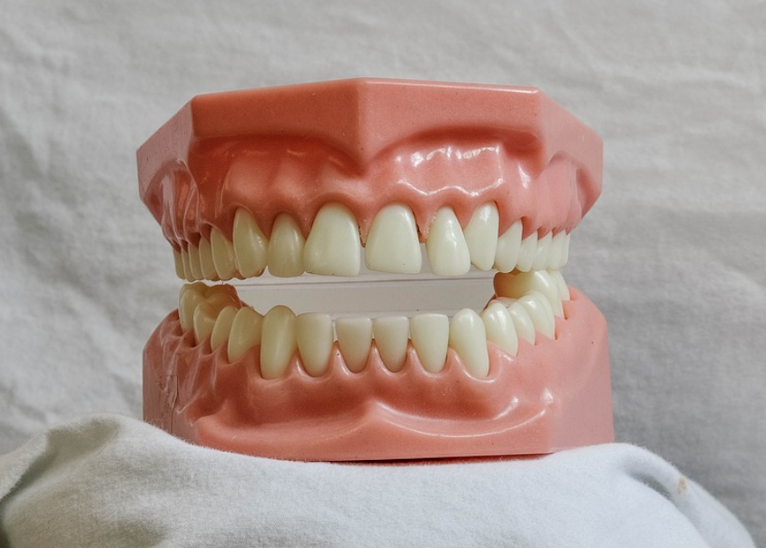 대표적인 구강 질환인 치주질환에 대해 알아보자.