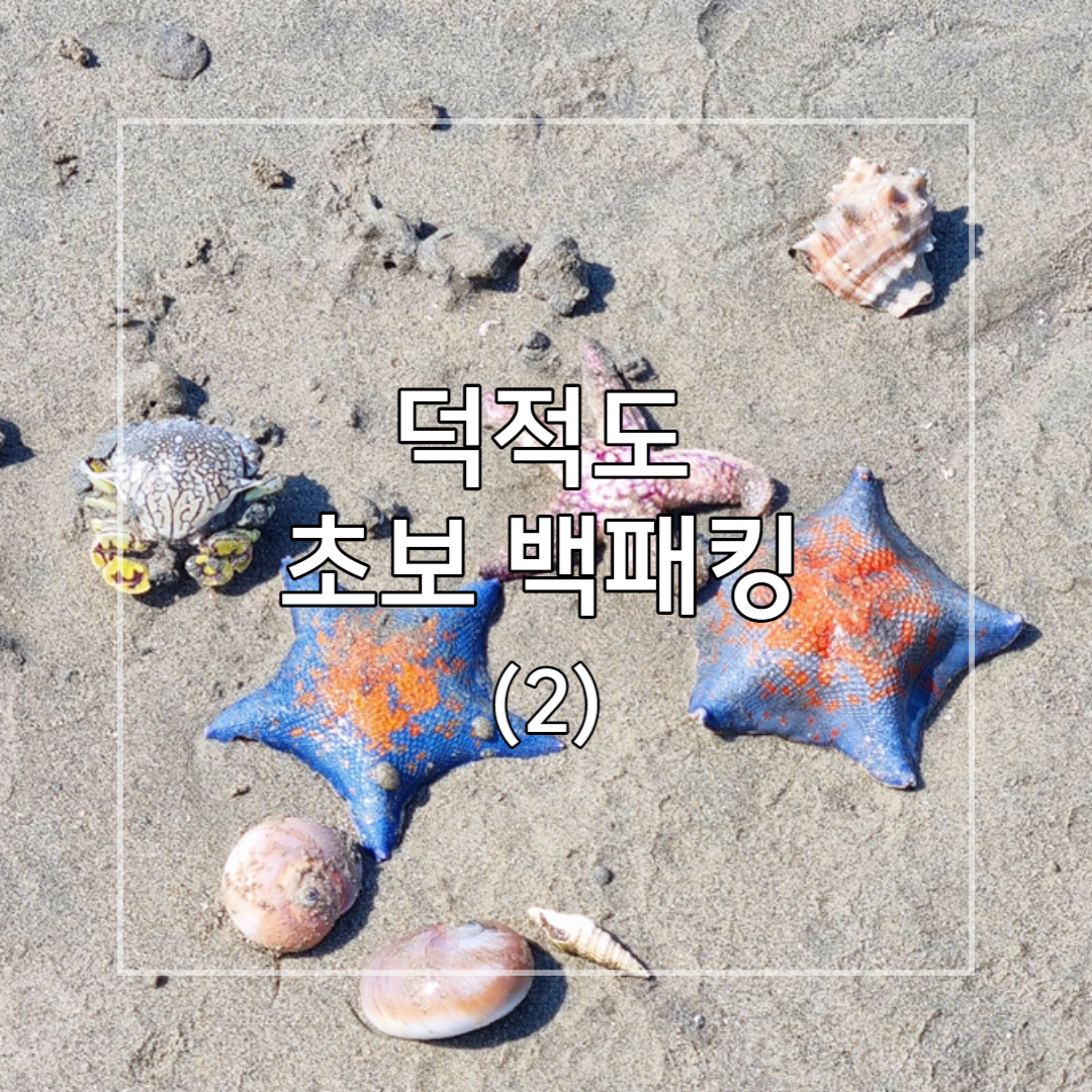 덕적도-백패킹-사진