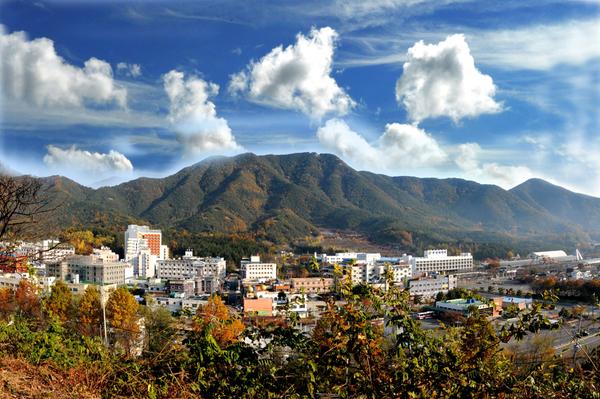 창녕 낙동강 유채꽃 축제 