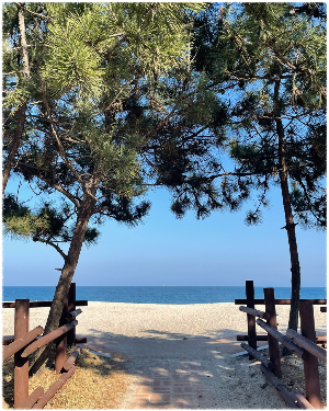 오류고아라해변