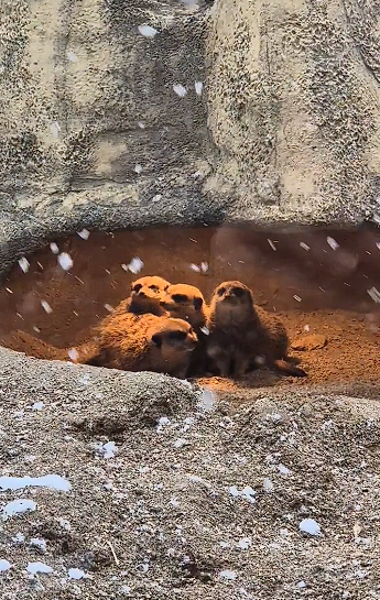 김제 가볼만한 곳