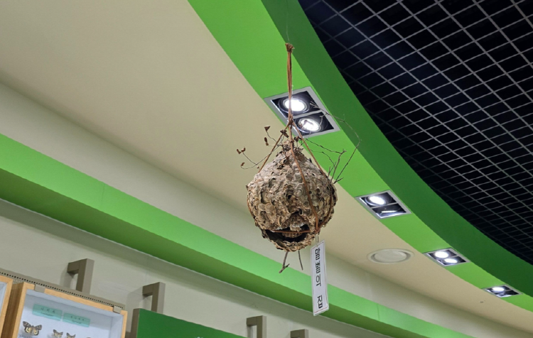 양평 곤충박물관