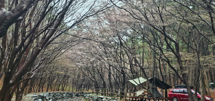 희리산 자연휴양림