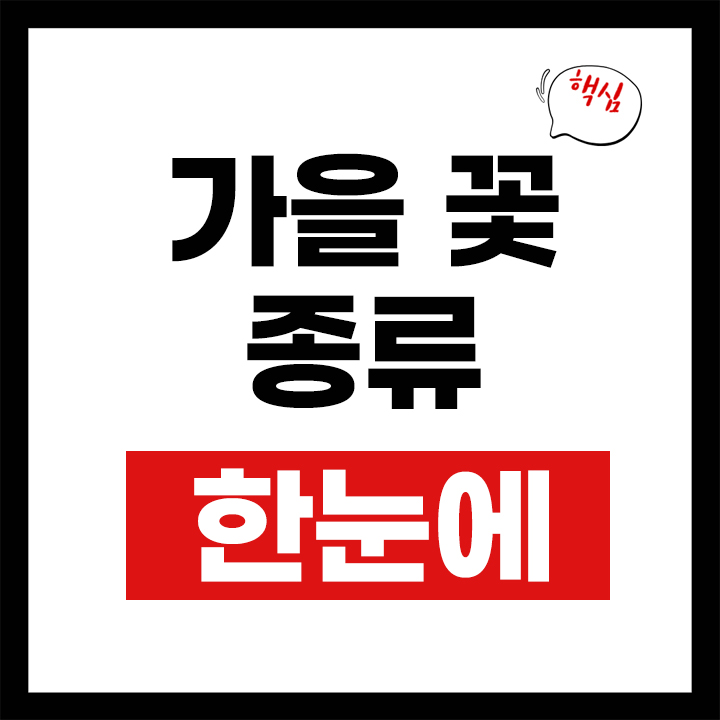 가을 꽃 종류