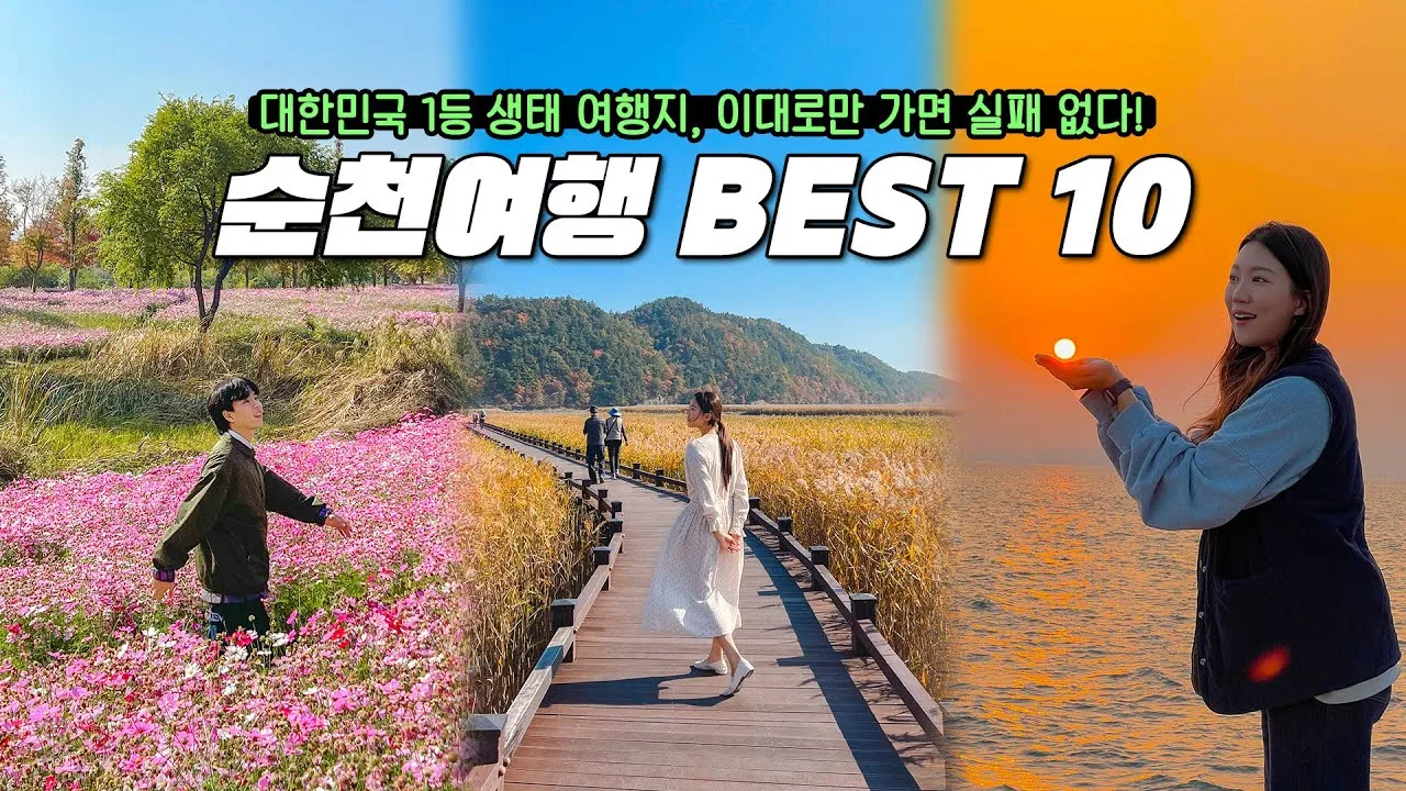 순천 가볼만한곳 베스트10 순천만 갈대밭 숨겨진 명소_1