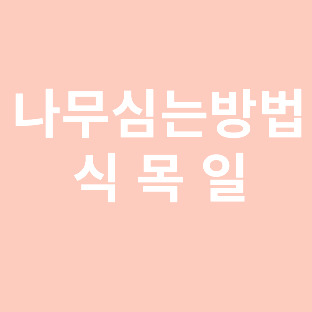 나무심는방법