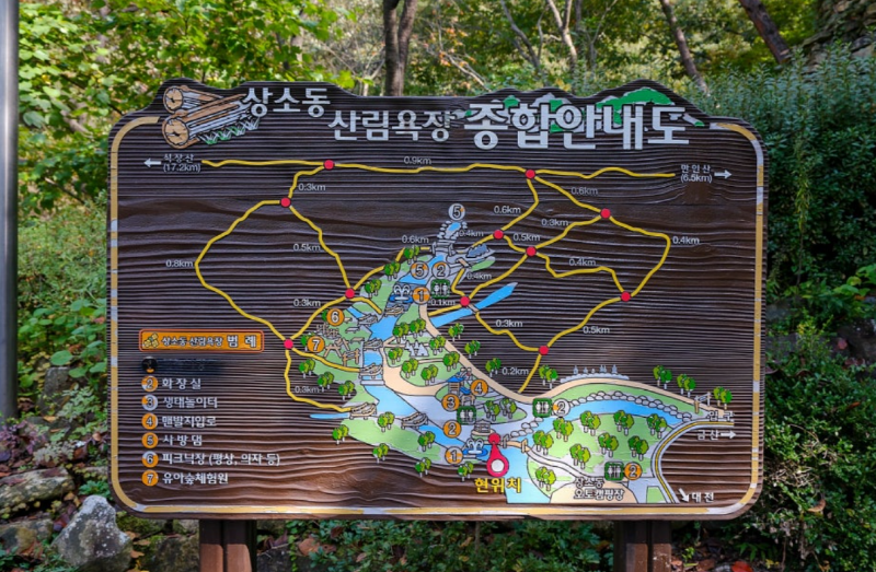 상소동 산림욕장