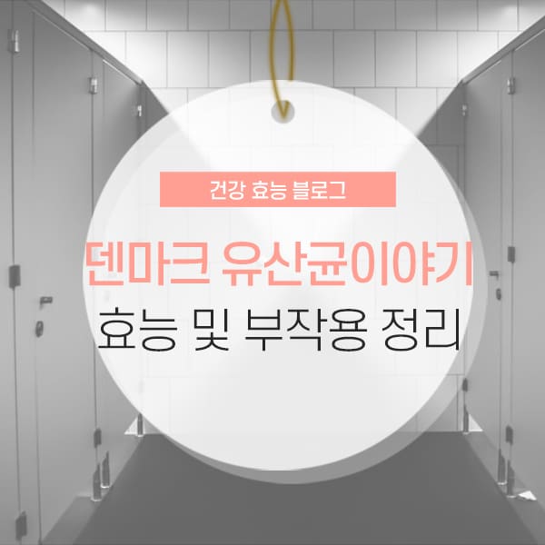 덴마크 유산균 소개 콘텐츠