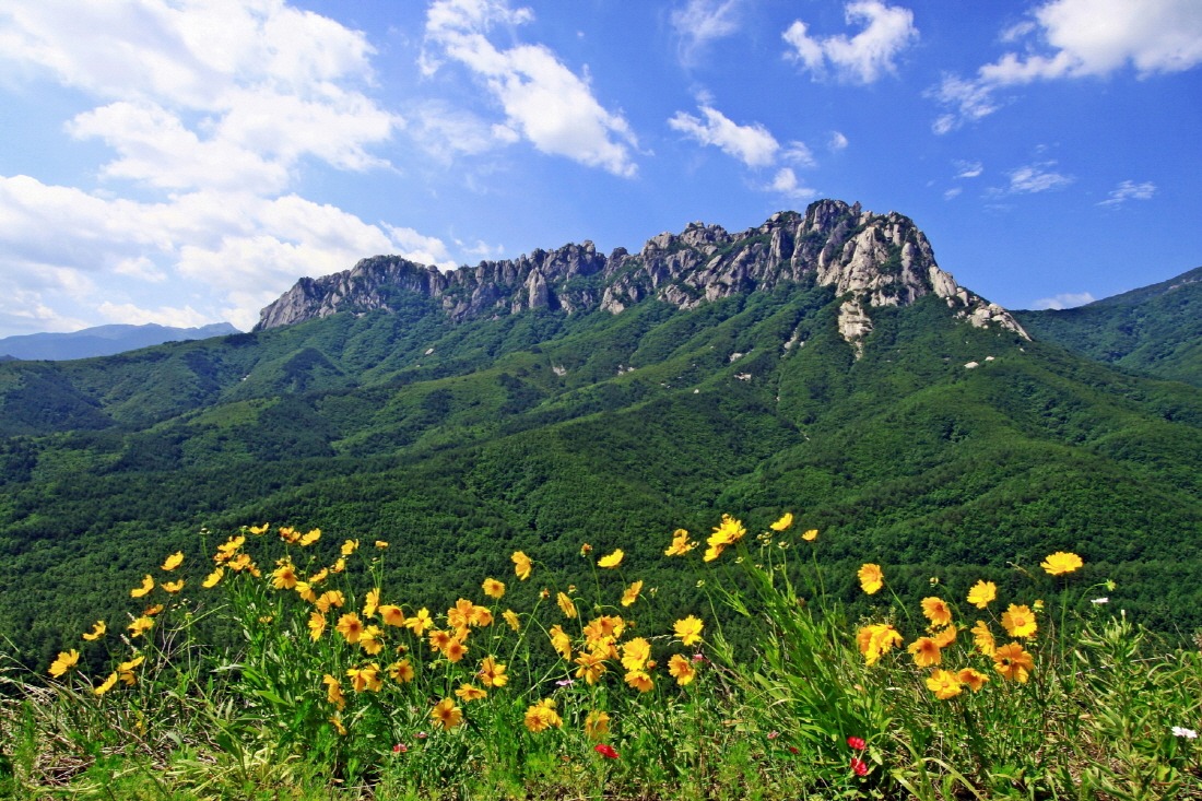 울산바위