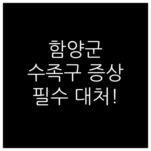 함양군 수족구 증상 및 응급 대처 방..