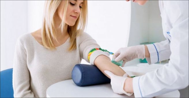 Total Protein 수치