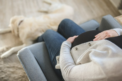 코레일 ktx 임산부 이용방법