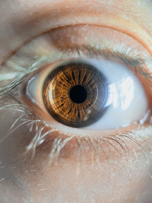 눈동자가 크게 확대 대여 있다