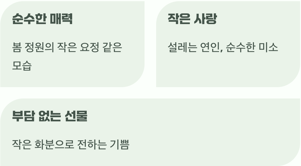 작은 요정의 귀여운 사랑